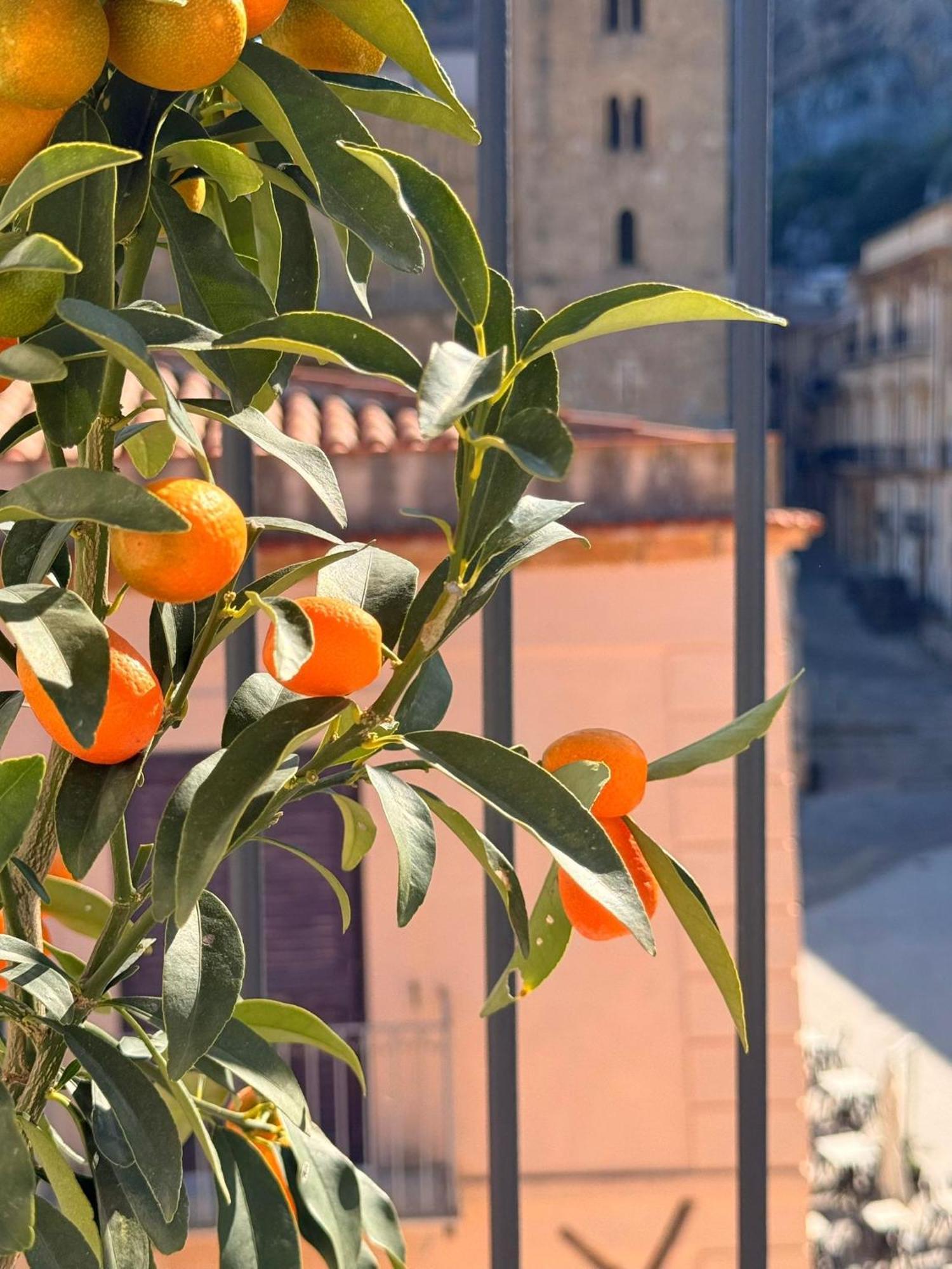 Palazzo Villelmi Cefalù Eksteriør bilde
